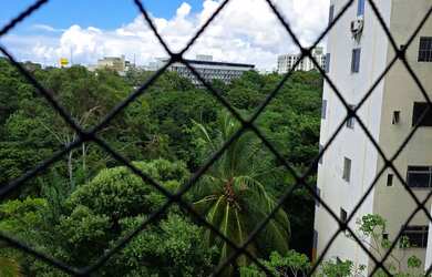 Imagem 7: 3/4 no Condomínio Bosque Imperial em São Rafael