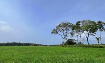 Imagem: Fazenda em Alto Alegre RR