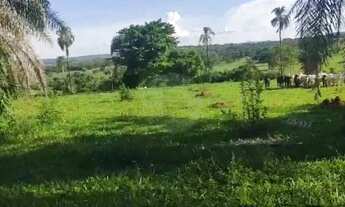 Imagem 3: Chácara à Venda em Iporá-GO 5 Alqueires de Terra de Cultura com Represa