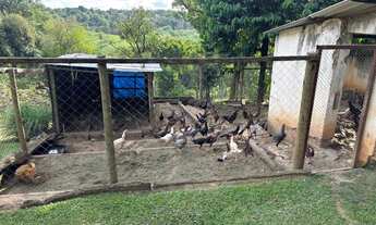 Imagem 5: Lindo sítio em Juatuba