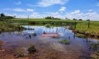 Imagem 4: Fazenda 13 alqueires (62 hectares) Anápolis - GO
