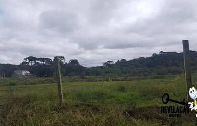 Imagem 6: Área à venda, 78339 m² por R$ 15.700.000,00 - Cachoeira - São José dos Pinhais/PR