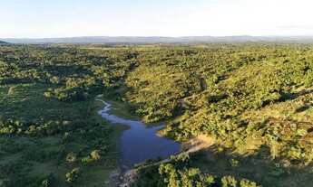 Imagem: Sítio à venda no bairro Goiás-Go em Goiás/GO