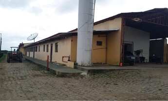 Imagem 5: Magnífico Haras em Curitiba - Tijucas do Sul