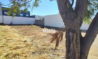 Imagem 5: Terreno disponível para venda no bairro Novo Mundo em Uberlândia-MG