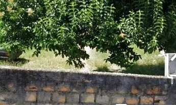 Imagem 5: Terreno Maracanã Colombo 490m2