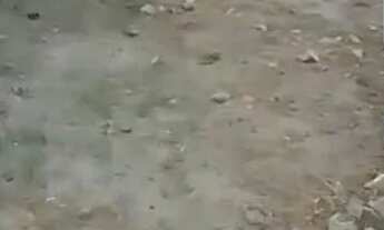 Imagem 2: Terreno no viveiro