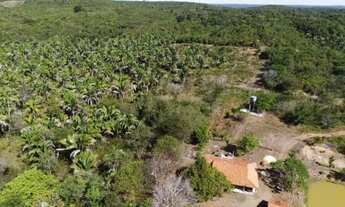 Imagem 6: Fazenda zona rural 37 km do joquei club
