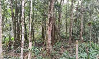 Imagem 5: Terreno por apenas 15 de entrada 40 de hum mil reais