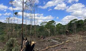 Imagem 6: Terreno para venda tem 1000 metros quadrados em Recreio - Ibiúna - SP