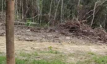 Imagem 6: Chácara após o Mucambinho