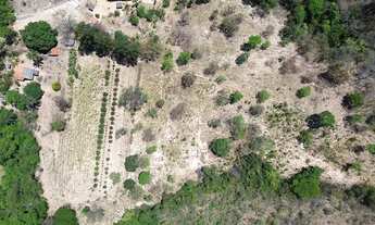 Imagem 6: Oportunidade de terreno