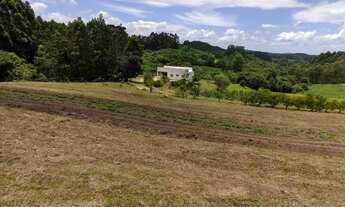 Imagem 7: Chácara à venda em Glória, Canguçu, RS, 5 hectares, com casa, galpão, 2 açudes, árvores fr