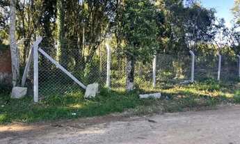 Imagem 5: Chácara Alba: Um Refúgio Natural com Potencial de Ouro a Minutos de Curitiba