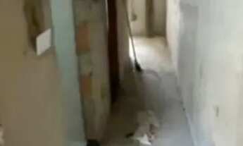 Imagem 6: Casa a venda Casa com 1 dormitório