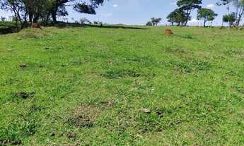 Imagem 5: Sítio no município de Itapetininga próximo da (usina vista alegre)com 2 alqueires ( escrit