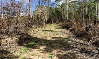 Imagem 3: O Melhor de Ibiúna: Terrenos 1000m² com Documentação OK