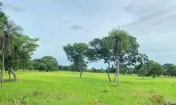 Imagem 2: LINDO SITIO A VENDA 50 HEC BEIRA RIO CUIABA