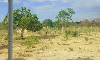 Imagem 3: Chácara Chácara com venda por R$130.000