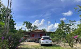 Imagem 2: SÍTIO 7 HECTARES PRÓXIMO A PRESIDENTE FIGUEIREDO - KM 82 - AREA FERTIL - OTIMA PRODUÇÃO