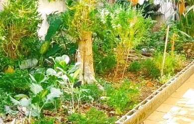 Imagem 5: Sobrado para venda e locação em Brooklin com 3 quartos , 170m²