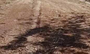 Imagem 2: Vendo lote em Chácara