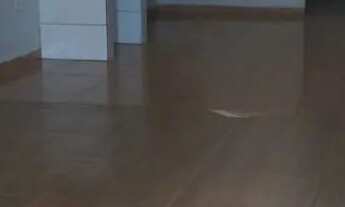 Imagem 6: Chácara no Centro de Matias Barbosa