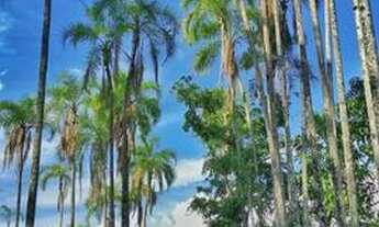 Imagem 7: Lindíssima Fazenda Mata Velha em Pirenópolis