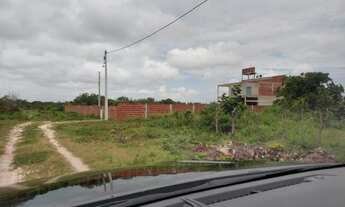 Imagem 5: Ter 45 x 50, ENTRE CASCAVEL E CAPONGA, matrículado