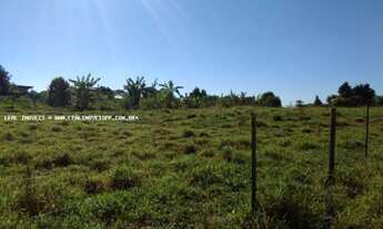 Imagem 3: Chácara para Venda em Presidente Prudente, FLORESTA DO SUL