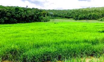 Imagem 3: Urgente.fazenda de 50 hectares por 159 mil