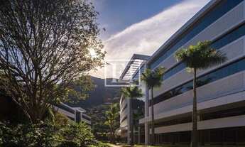 Imagem 5: FLORIANóPOLIS - Conjunto Comercial/Sala - Saco Grande