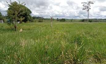 Imagem: Sitio 62 Alqueires Jaru