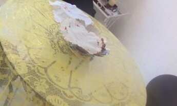 Imagem 5: Alugo complexo com 2 casas na Pituba!