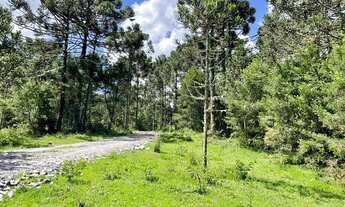 Imagem 6: Chácara em Urubici