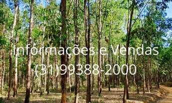 Imagem 2: Vendo Terreno 40.000m² com Área Verde e Vista Maravilhosa