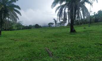 Imagem 5: Fazenda Município de Heitorai - Go<br>22 Alqueires