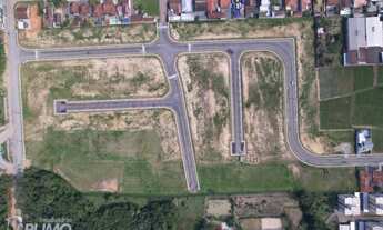 Imagem 7: Lote no bairro Padre Martinho Stein