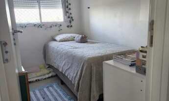 Imagem 6: SãO BERNARDO DO CAMPO - Padrão - Independência