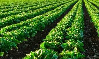 Imagem 2: Lançamento. Áreas de 20.000m² por Apenas 22.010 + Parcelas