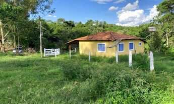 Imagem: Chácara de 2 alqueires toda formada com