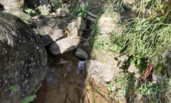 Imagem 4: Sítio com 42.500m² (4,25Hectare) - Casa e Piscina - São Marcos - Biguaçú/SC