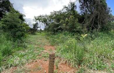 Imagem 6: Chácaras de 1.500 m2 100% planas em Igarapé