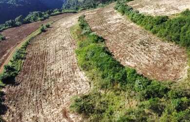Imagem 5: Barbada Área entre Gramado e Santa Maria do Herval