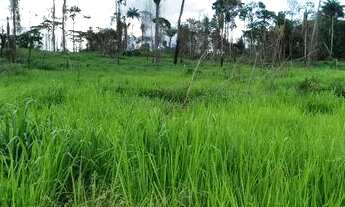 Imagem 4: Fazenda com 100 Alqueires sendo 35 de pasto