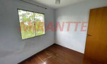 Imagem 5: Lindo apartamento em Barro Branco