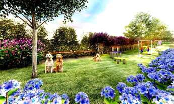 Imagem 4: Apartamento 62m com 2 suítes à venda no bairro Butantã - São Paulo/SP, Zona Oeste