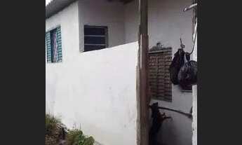 Imagem 6: Casa Casa com 2 dormitórios