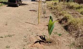 Imagem 6: Vendo casa 80.000