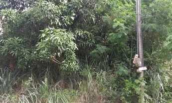 Imagem 2: RS753DS Vendo casa no bairro Divinópolis